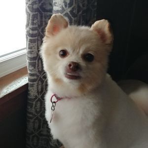 Meet your Posher, Leann